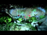 Far Cry 3 trailer - pre-order details, hang glider reveal (Teaser) Far Cry 3 trailer - pre-order details, hang glider reveal (Teaser)