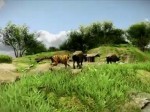 Far Cry 3 - Trailer de lancement (Gameplay)