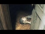 Silent Hills - Teaser du TGS 2014 (Teaser)