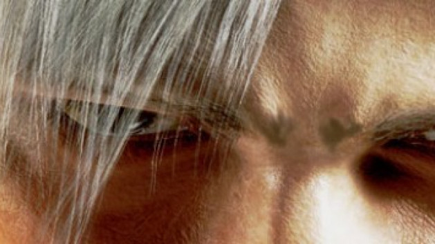 Devil May Cry 2