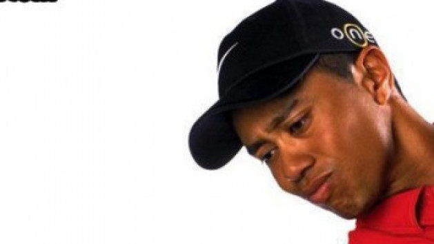 Tiger Woods PGA Tour 06 sur le Live
