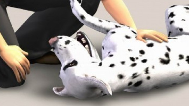 Les Sims 2 : Animaux sur Wii