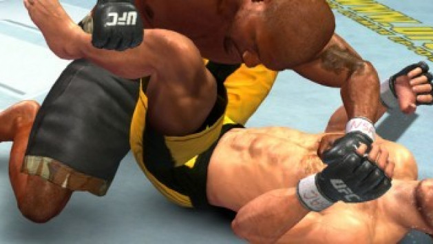Des bourrins sur un ring