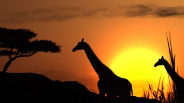Plus d'online pour Afrika !