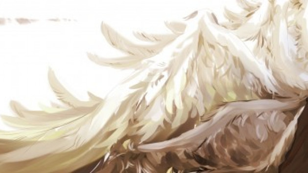 Des images pour El Shaddai
