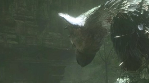 The Last Guardian en images