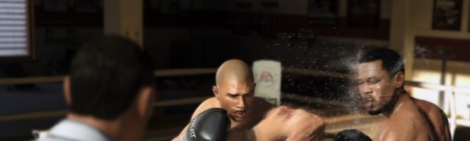 [Test] Fight Night Champion