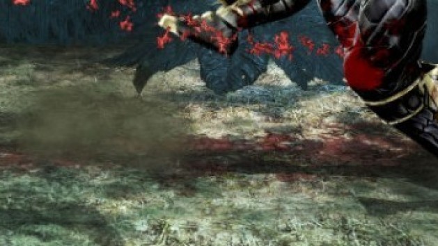 Mortal Kombat : effusion d'images