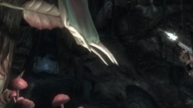 FNV : Honest Hearts s'illustre