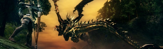 Dark Souls PC en images