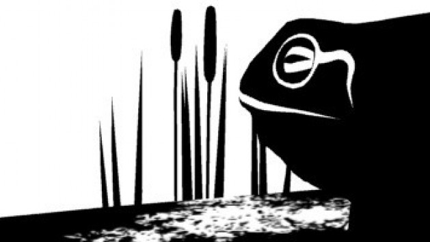 The Unfinished Swan débarque sur PS4 et PS Vita