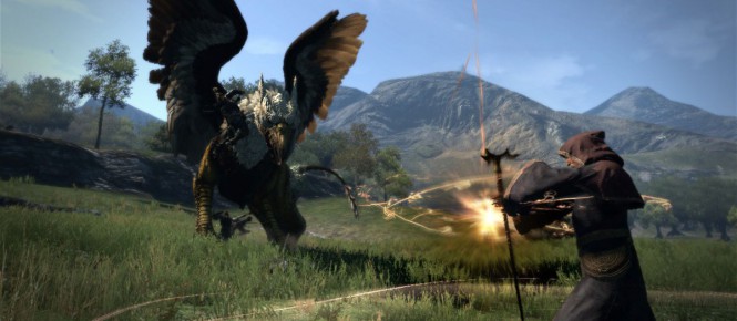 Du cross-play pour Dragon's Dogma Online