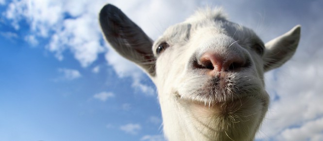 Goat Simulator débarque sur PS4 et PS3