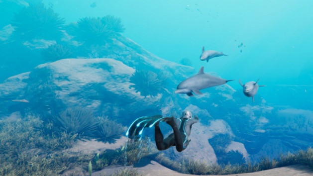 Beyond Blue : Whale done, my friend