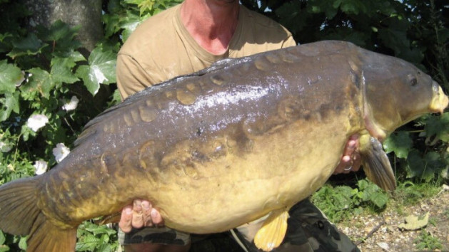 Inception x Pêche à la mouche