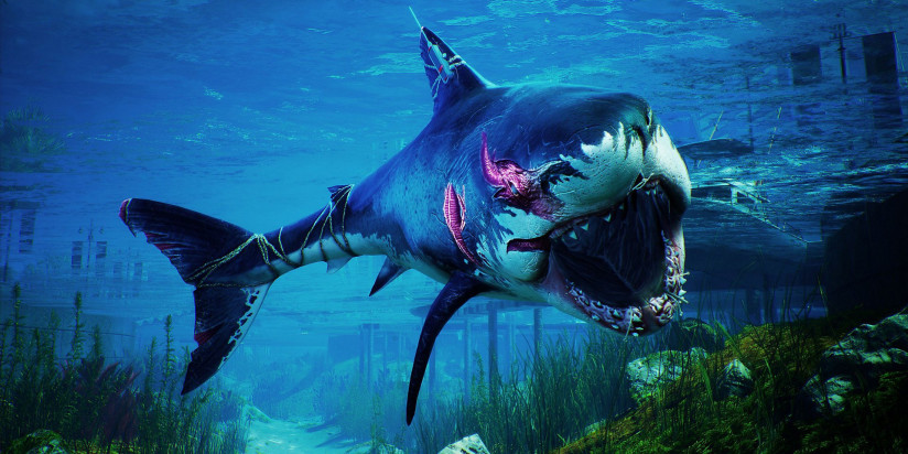 Maneater date son premier DLC