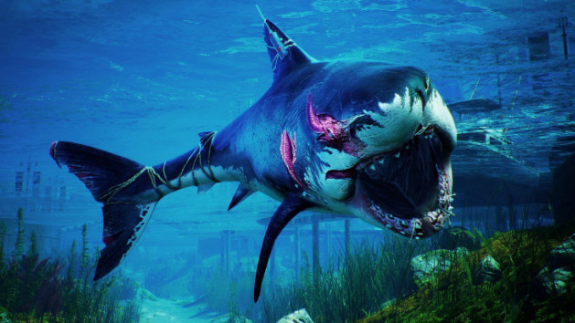 Maneater date son premier DLC