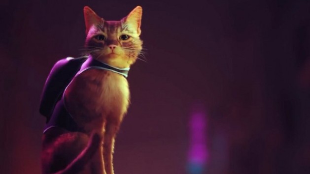 Vers une sortie en juillet pour Stray ?