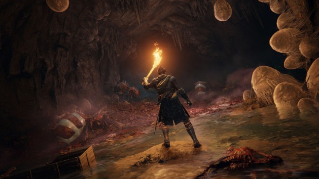Elden Ring : le point sur les ventes