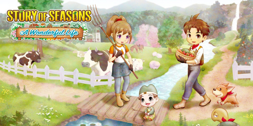 Une fenêtre de sortie pour Story of Seasons : A Wonderful Life