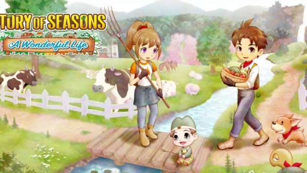 Une fenêtre de sortie pour Story of Seasons : A Wonderful Life