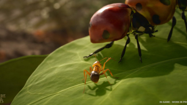 Microids annonce un jeu tiré du roman de Bernard Werber : Les Fourmis