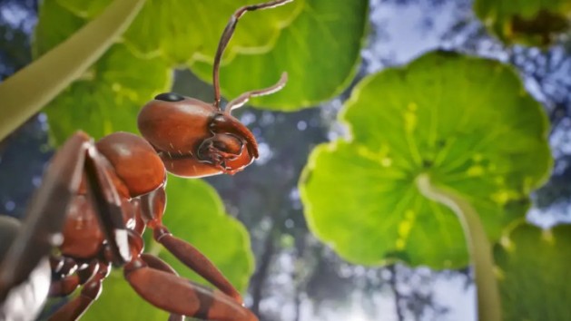 Les Fourmis déploie son trailer de lancement et son accès anticipé