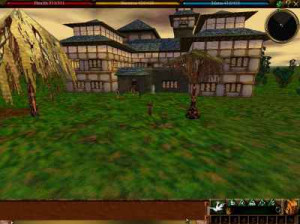 Asheron's Call Dark Majesty - PC