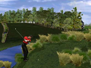 Tiger Woods PGA Tour 2002 - PC