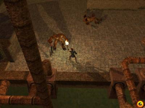 Neverwinter Nights - PC