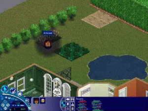 Les Sims Entre Chiens Et Chats - PC