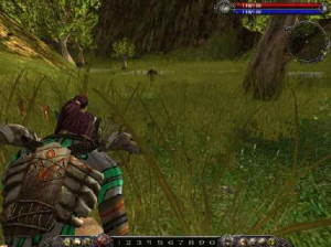 Asheron's Call 2 : Fallen Kings - PC