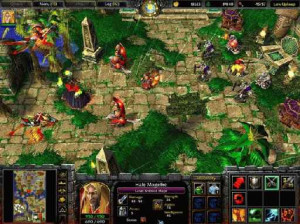 Warcraft III : Frozen throne - PC