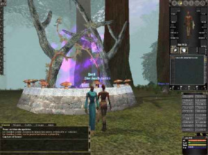 Dark Age of Camelot Shrouded Isles - PC