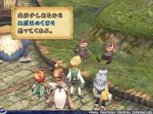 Final Fantasy  Crystal Chronicles - Gamecube