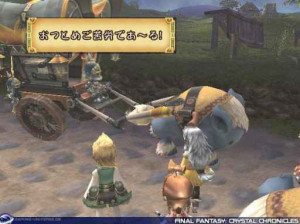 Final Fantasy  Crystal Chronicles - Gamecube