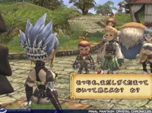 Final Fantasy  Crystal Chronicles - Gamecube