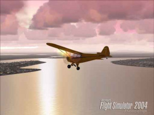 Flight Simulator 2004 : A Century of Flight - PC