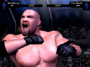 WWE SmackDown ! Here Comes the Pain - PS2