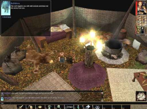 Neverwinter Nights : Shadows Of Undrentide - PC