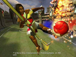 Harry Potter et la coupe du monde de Quidditch - Gamecube