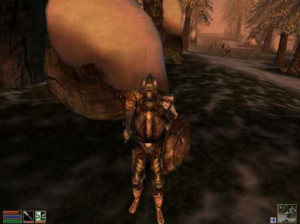 The Elder Scrolls III : Morrowind : Bloodmoon - PC