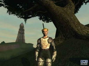 EverQuest II - PC