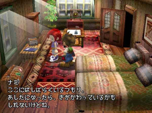 Harvest Moon : A Wonderful Life - Gamecube