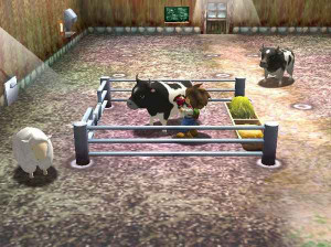 Harvest Moon : A Wonderful Life - Gamecube