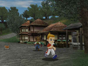 Harvest Moon : A Wonderful Life - Gamecube