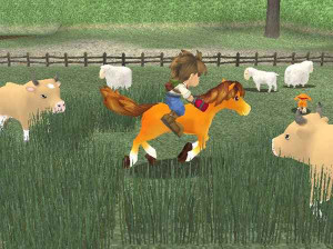 Harvest Moon : A Wonderful Life - Gamecube