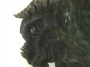 Shadow of the Colossus - PS2