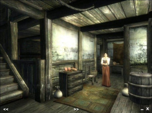 The Elder Scrolls IV : Oblivion - PC