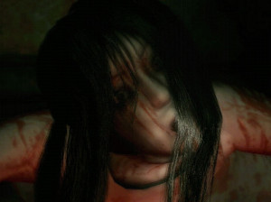 The Grudge - Wii